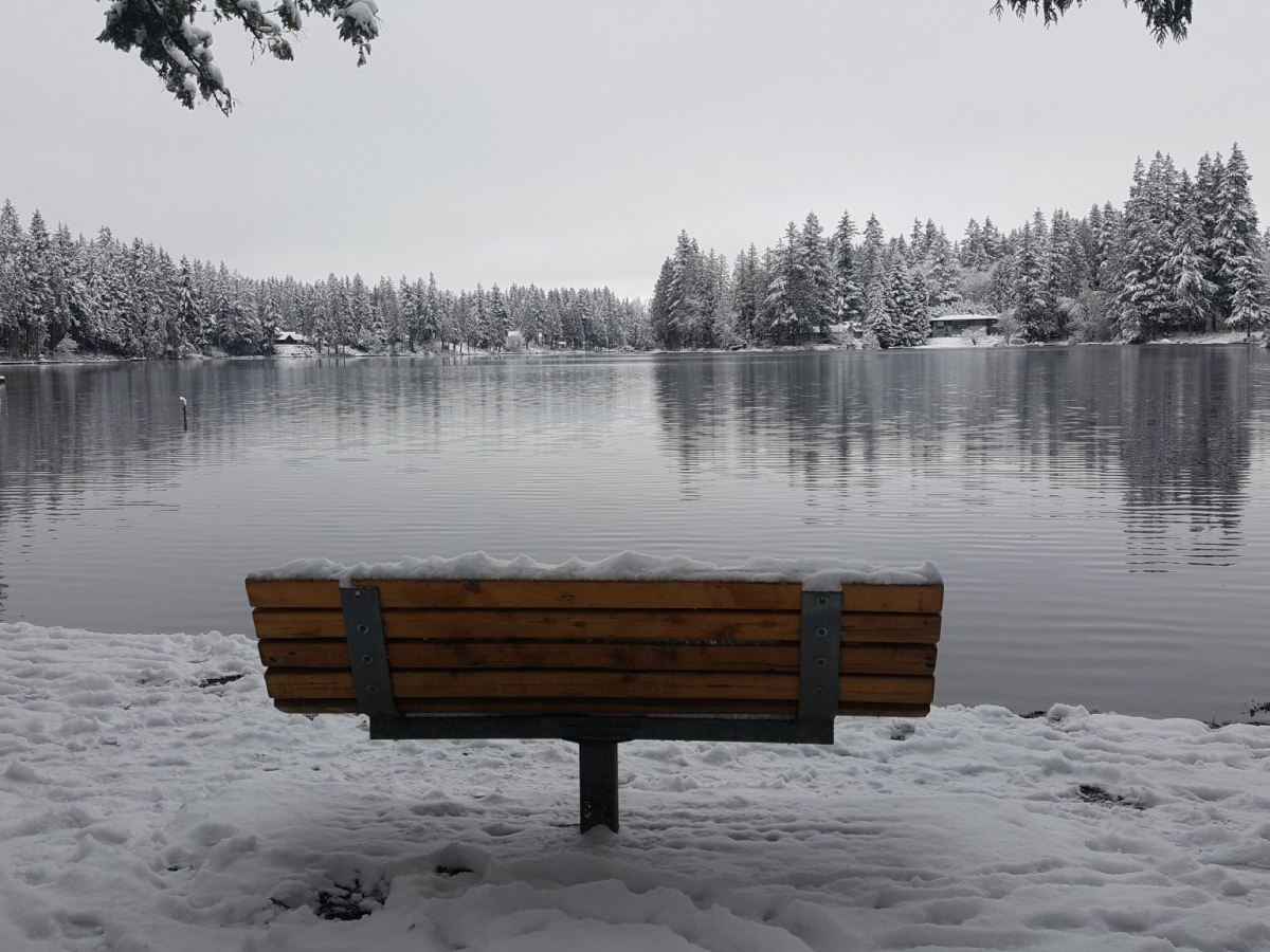 Five Winter Experiences that are Must-Haves on Seattle’s Eastside