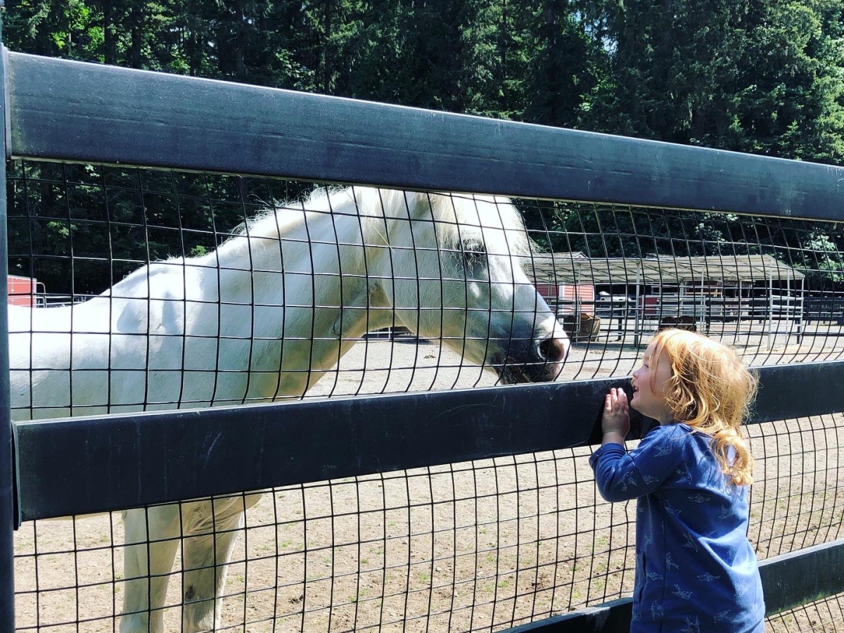 Exploring Redmond’s Farrel-McWhirter Farm Park