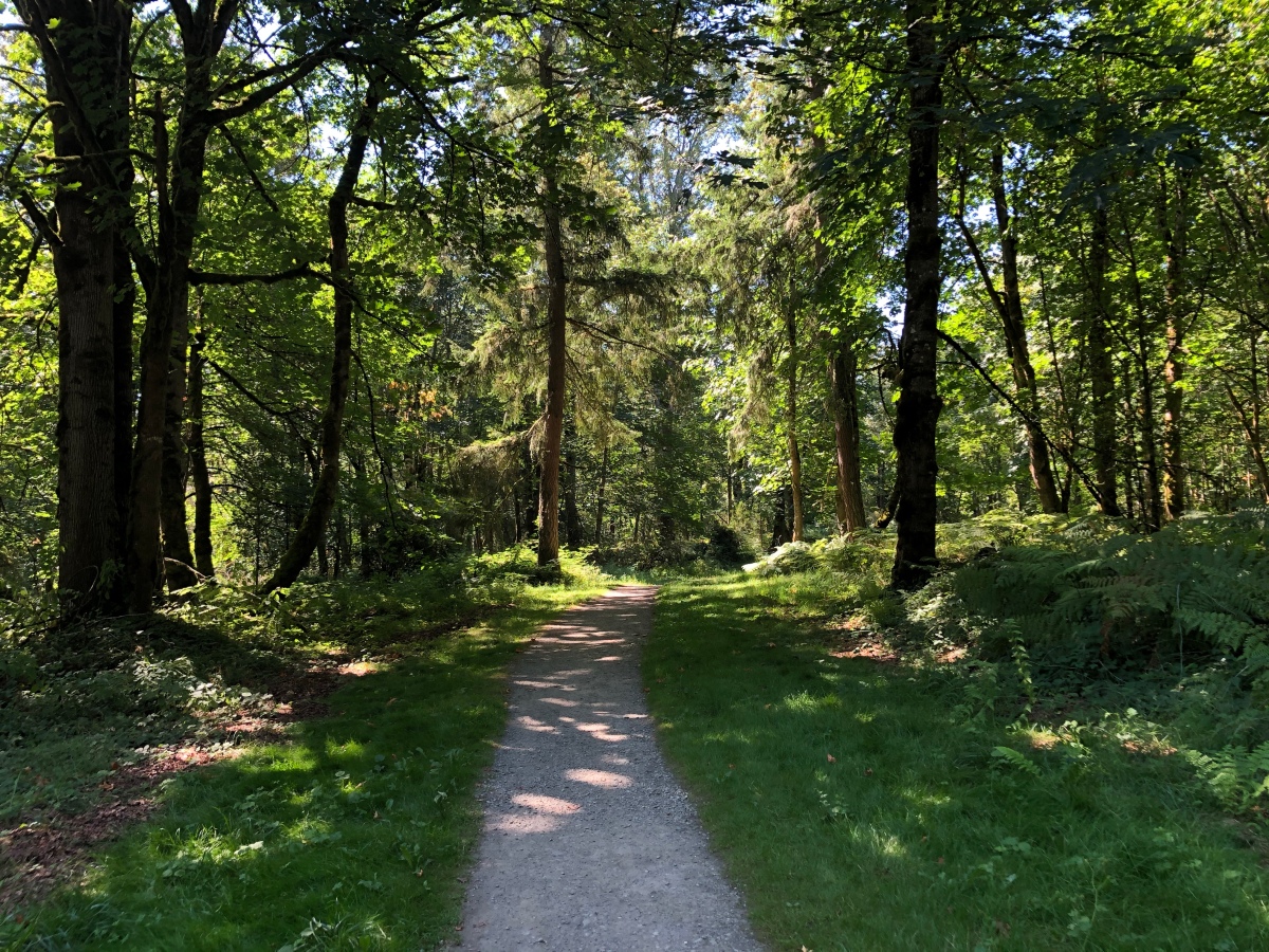 A Guide to Sammamish’s Soaring Eagle Regional Park