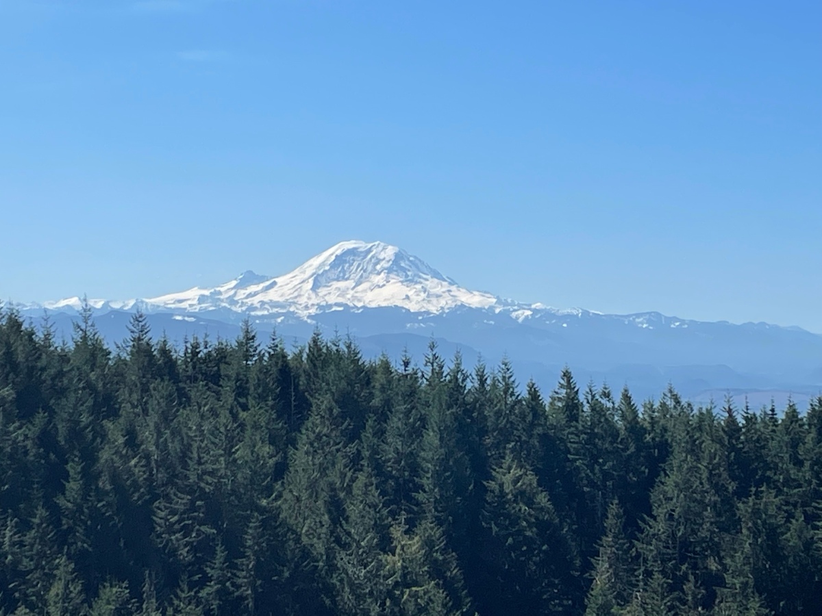 How to Spend the Ultimate Summer Weekend in Issaquah, WA: Our Top Outdoor Activities, Restaurants, and More